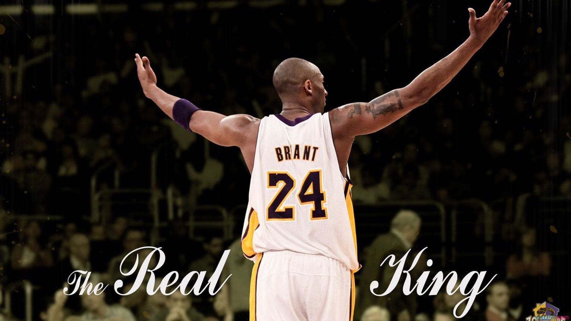 西亚卡姆的刀，掘金的盾，当生涯之夜撞上总冠军之心